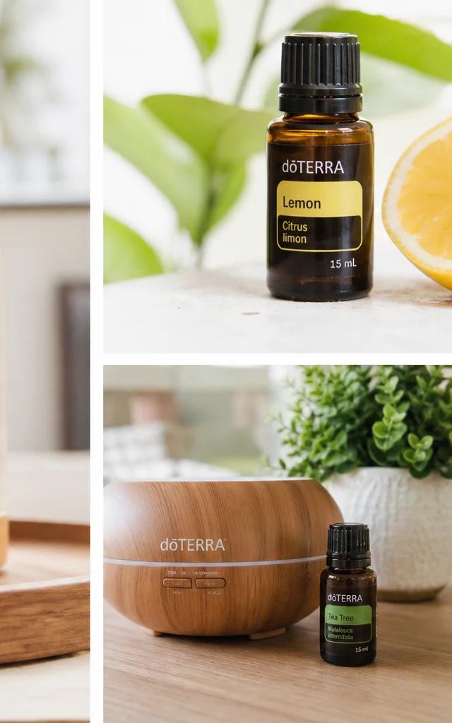Etherische Oliën Business, Starten met doTERRA