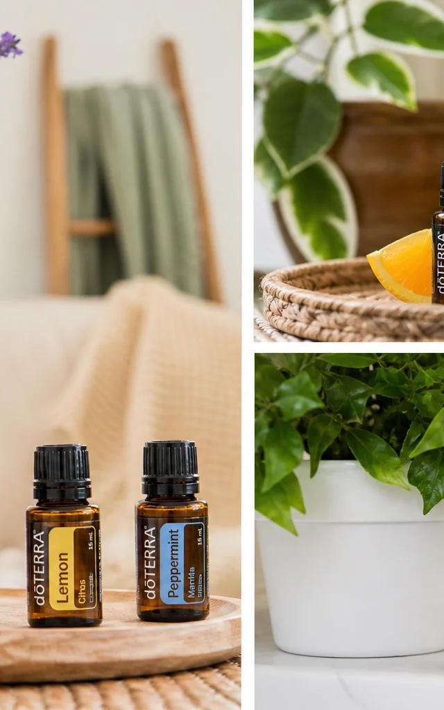 doTERRA 始め方：初心者向け完全ガイド